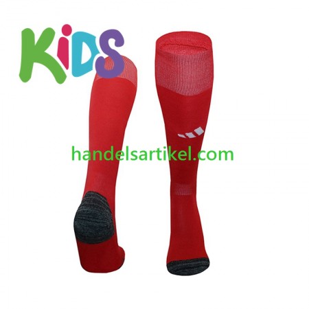 Benfica Lissabon Kinder Socken Heim 2024/25